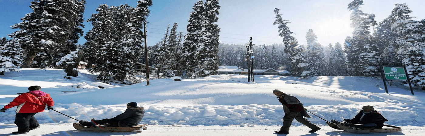 Tour Package Jammu