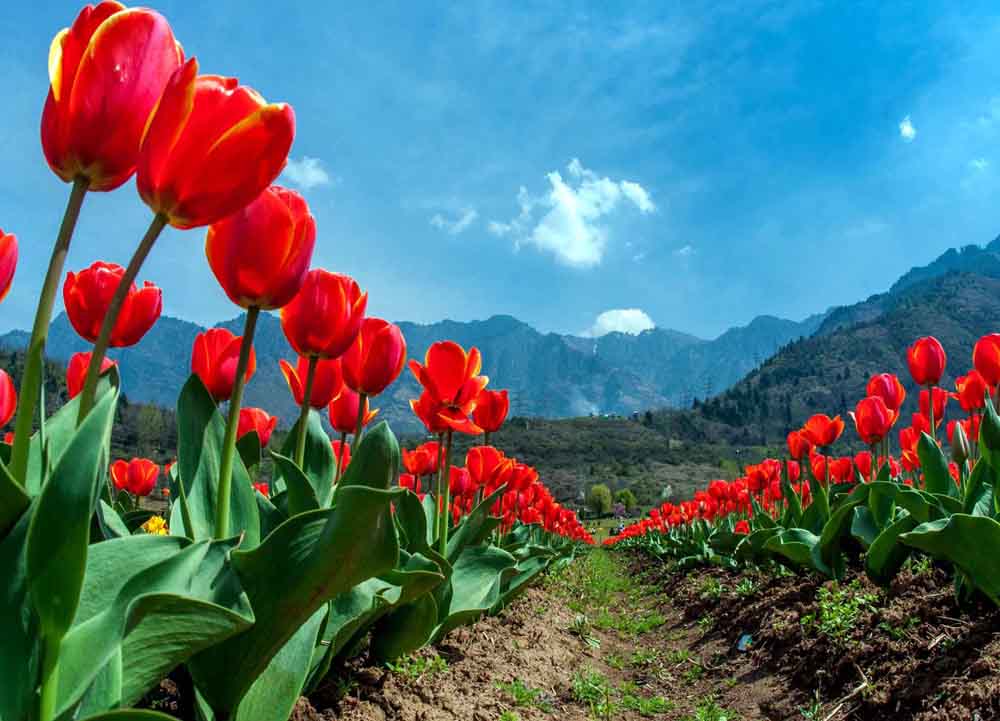 Adventure Tours Jammu